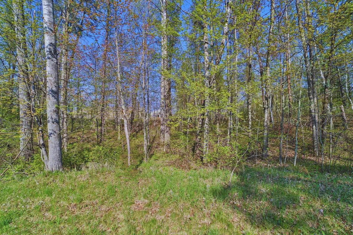 Cul-de-sac - Alpine Cir Breezy Point, MN 56472, USA